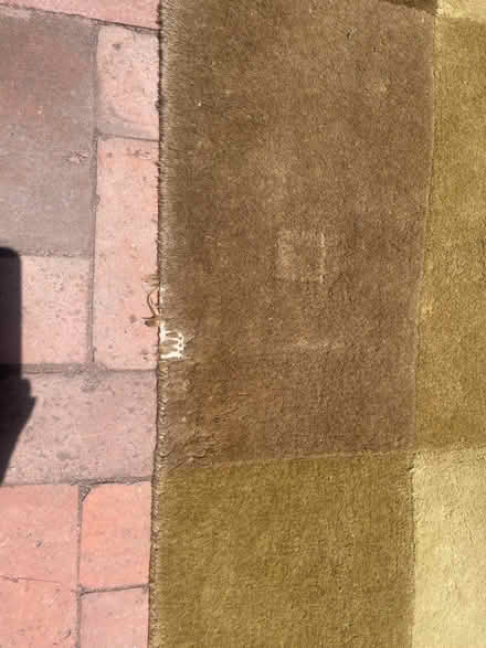 Photo of free Carpet- shades of green (Beachwood Canyon) #2