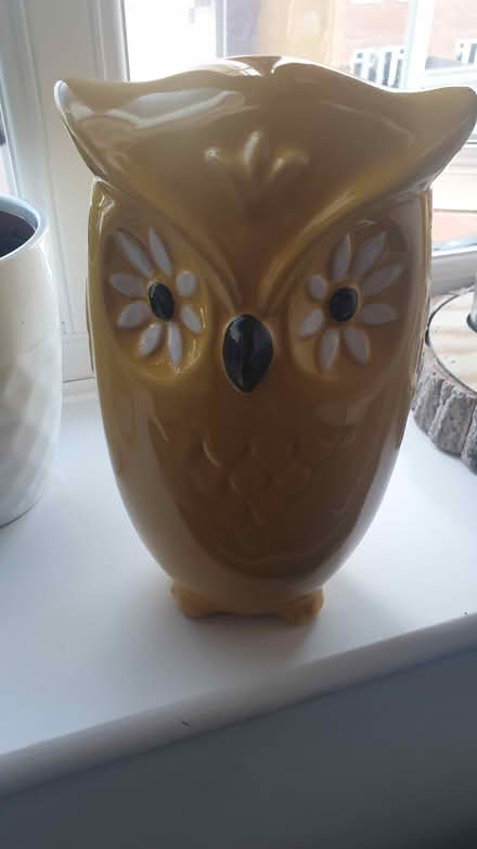 Photo of free Owl lamp and ornament (Wells somerset) #1