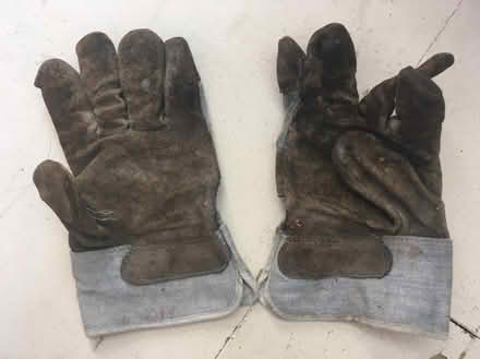 Photo of free A pair of gardening gloves (Berrylands KT5) #1
