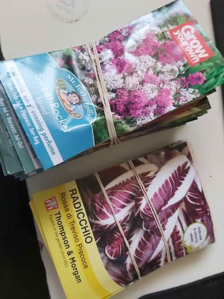 Photo of free flower and vegetable seeds (Chapel House NE5) #1