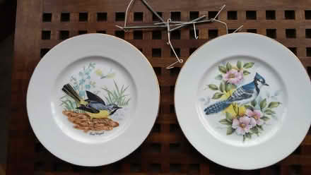 Photo of free Two large display plates plus hangers (Chelmsford CM1) #2