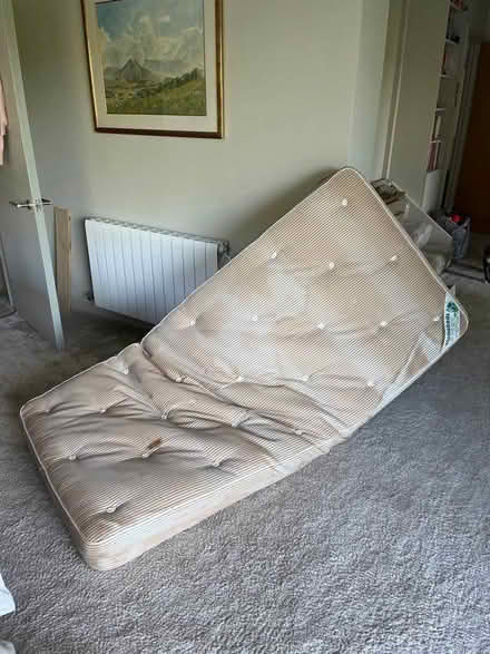 Photo of free Single bed with matress (Limpley Stoke) #1