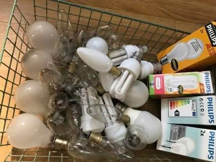 Photo of free Lightbulbs (Fulbrook OX18) #1
