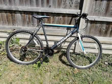 Photo of free Muddy fox bicycle (Barbourne WR3) #1