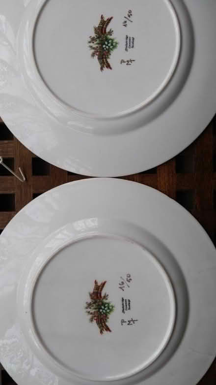 Photo of free Two large display plates plus hangers (Chelmsford CM1) #1
