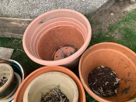 Photo of free Garden items (Redruth) #2