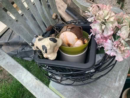 Photo of free Garden items (Redruth) #4