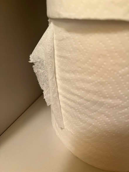 Photo of free Toilet Paper (Aurora) #1