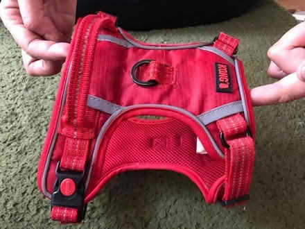 Photo of free Dog harness (Trumpington Ward CB2) #1