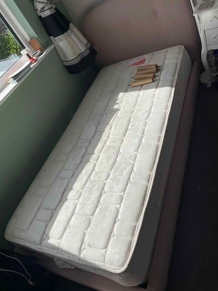 Photo of free Single bed (m&s) (D24) #2