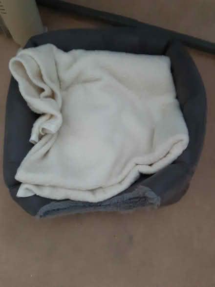 Photo of free Cat basket and carrier plus (Rothley) #1