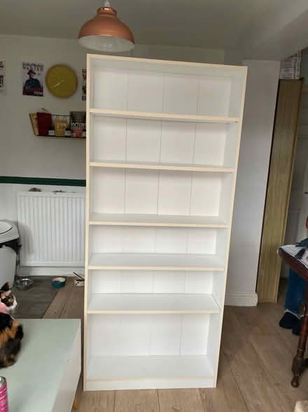 Photo of free Tall white bookcase (Coppull PR7) #1