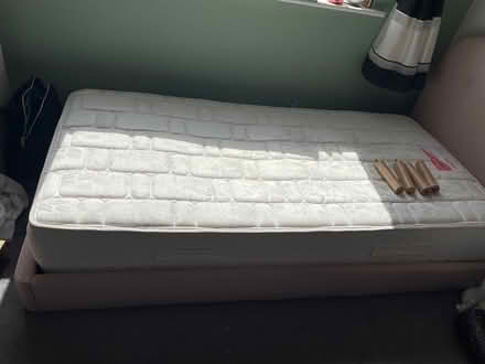 Photo of free Single bed (m&s) (D24) #1