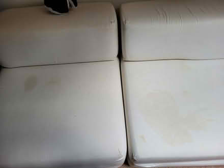 Photo of free Two foam foldout beds (Wokingham RG40) #2