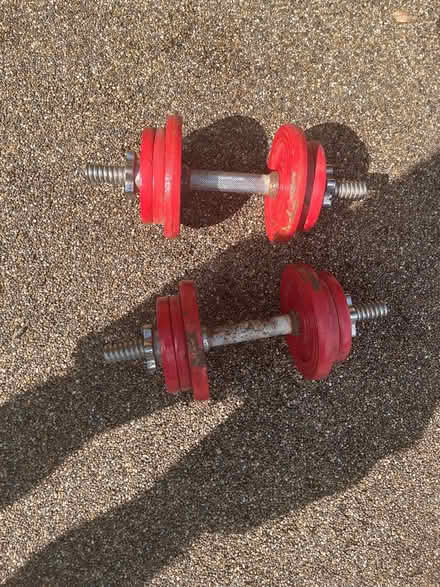 Photo of free 2-6kg dumb bells (Walton on Thames) #1