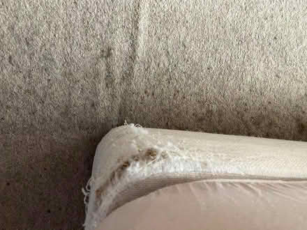 Photo of free Single bed/Mattress (Beighton S20) #2