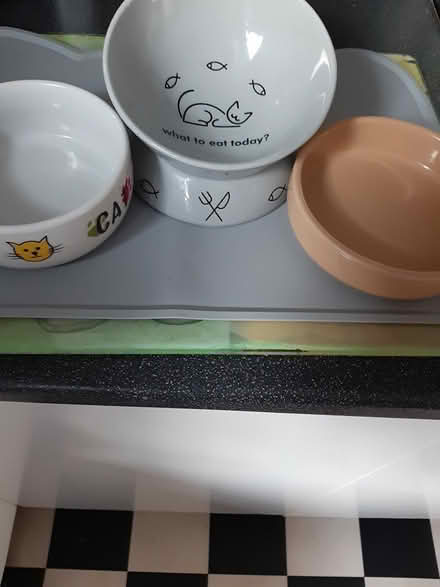 Photo of free Cat basket and carrier plus (Rothley) #3