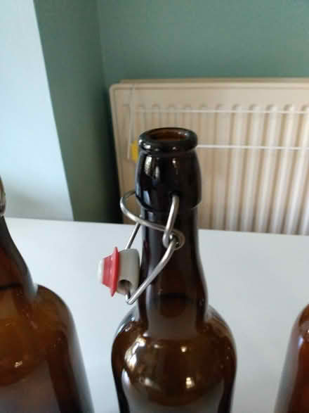 Photo of free Glass beer or pop bottles (Shurdington GL51) #3
