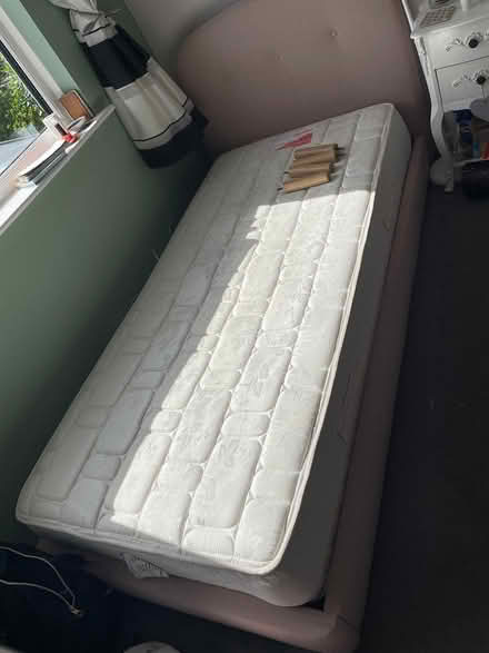 Photo of free Single bed (m&s) (D24) #3