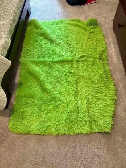 Photo of free Smaller The Green Shag area rug (South Brunswick NJ (08852)) #1