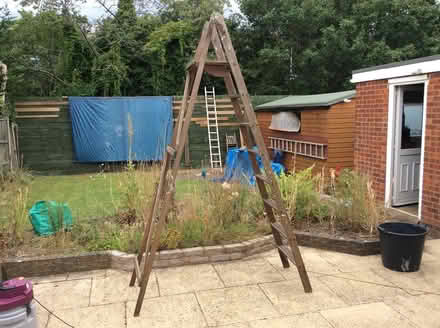 Photo of free Step ladder (Biggleswade) #1