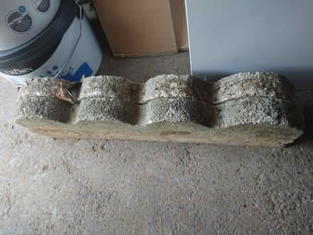Photo of free Concrete edging (Southfields) #1