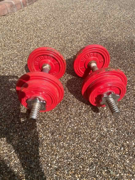 Photo of free 2-6kg dumb bells (Walton on Thames) #2