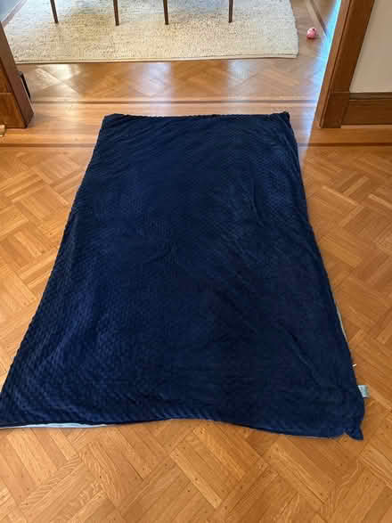Photo of free Weighted blanket - twin (Mount pleasant) #1
