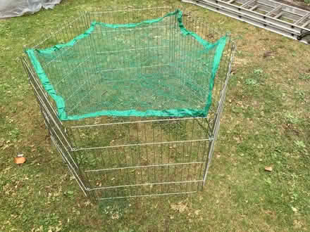 Photo of free run for small pets (Clissold N5) #1