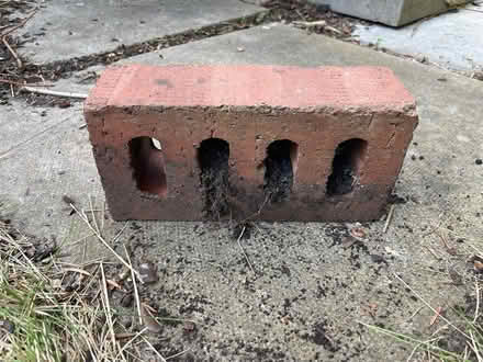 Photo of free 25 Red Bricks - UK Standard Size (Finchley Central, N3) #1