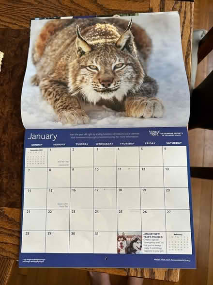 Photo of free 2024 calendar/planner (Ridge & Main) #3