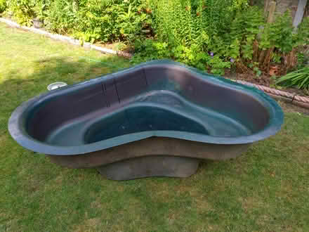 Photo of free Pond (SE13) #1