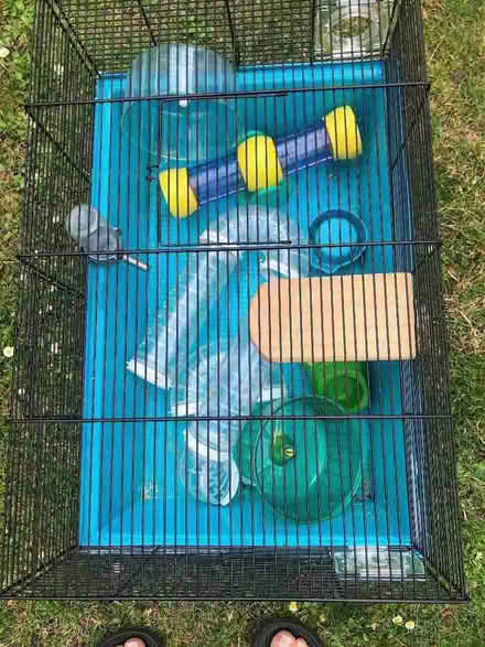 Photo of free Hamster cage (Long Wittenham OX14) #1