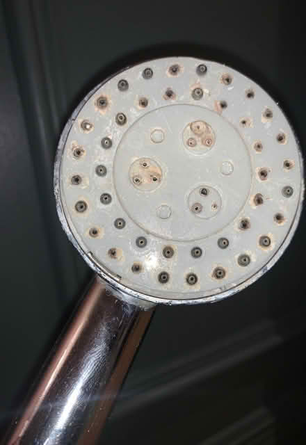 Photo of free Shower head (Walthamstow E17) #1