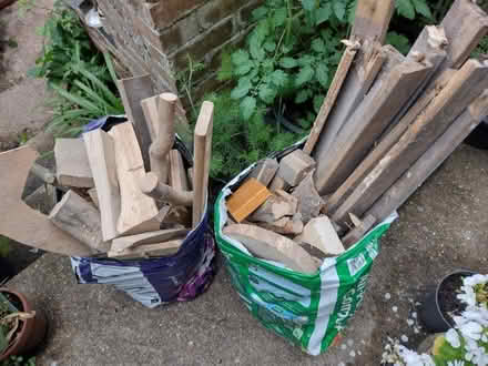 Photo of free Wood for burning (Lakenham NR1) #1