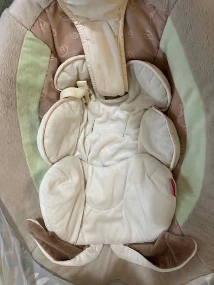 Photo of free Infant swing (Mount rainier MD) #4