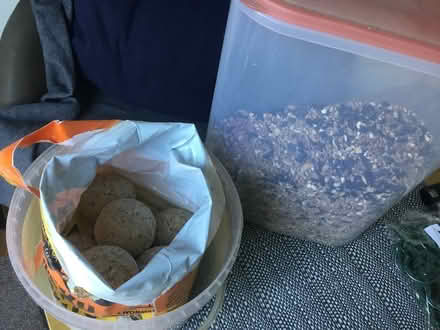 Photo of free Wild bird seed and fat balls (Parkstone) #1