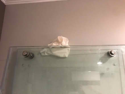 Photo of free Glass Shower Doors (East Greenbush near rte 4) #3