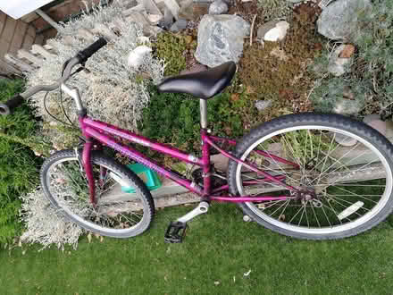 Photo of free Pink bike (CO2 Colchester, Mersea Road) #1