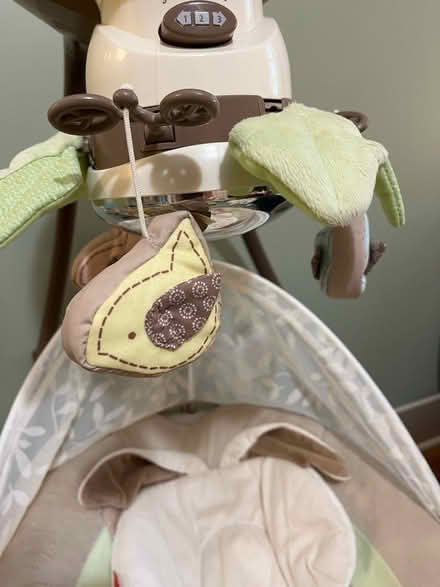 Photo of free Infant swing (Mount rainier MD) #3