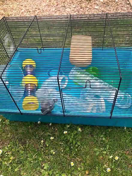 Photo of free Hamster cage (Long Wittenham OX14) #3