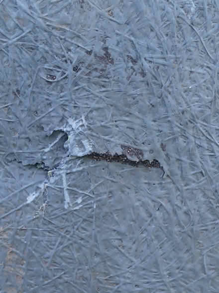 Photo of free Pond (SE13) #3