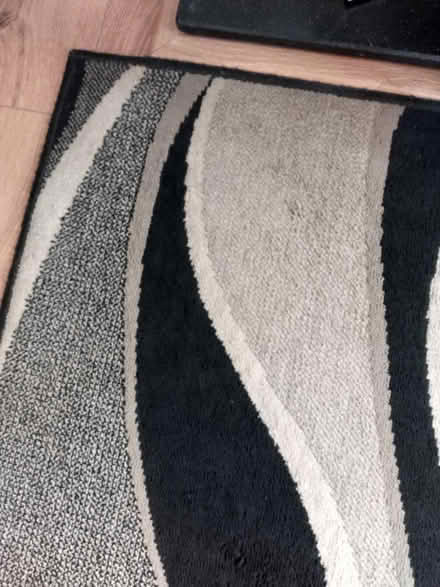 Photo of free Rug (Longley S5) #3