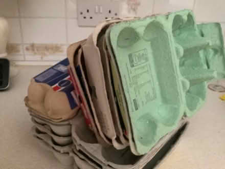 Photo of free Empty egg boxes (Bexhill TN39) #1