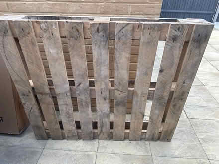 Photo of free Extra large pallet (ME17 3UJ) #1