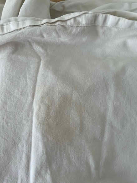 Photo of free Habitat Cotton single duvet cover (Broomhall S10) #4