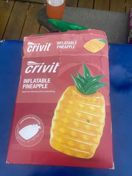 Photo of free Inflatable pineapple (TW2 Twickenham) #1