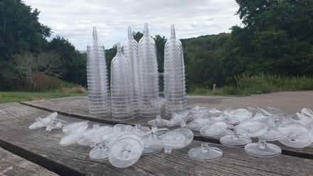 Photo of free Disposable wine glasses (Lower Green TN2) #2