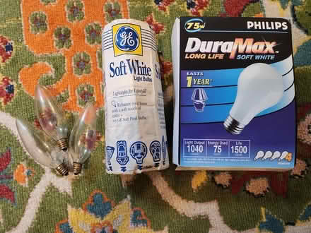 Photo of free Incandescent light bulbs (Kingman Park) #1