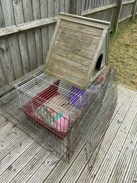 Photo of free Complete Guinea pig set up (HP2) #1
